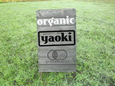 有機野菜のyaokiについて